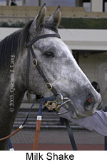 Milkshake (10480 bytes)