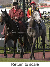 Return to scale (18016 bytes)