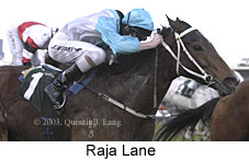 Raja Lane (11729 bytes)