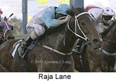 Raja Lane (13006 bytes)