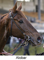 Alobar (11505 bytes)