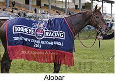 Alobar (17093 bytes)