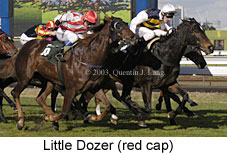 Little Dozer (17110 bytes)