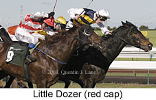 Little Dozer (14009 bytes)