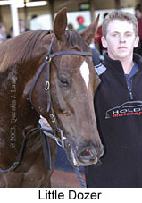 Little Dozer (12632 bytes)