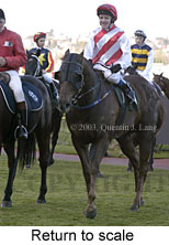 Return to scale (13589 bytes)