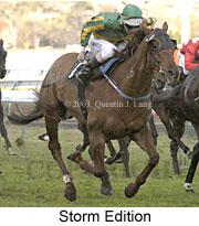 Storm Edition (12998 bytes)