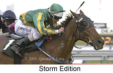 Storm Edition (12998 bytes)