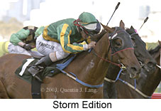 Storm Edition (12998 bytes)