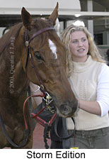 Storm Edition (12998 bytes)