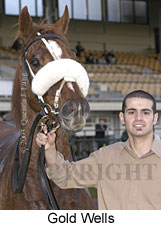 Gold Wells (12744 bytes)