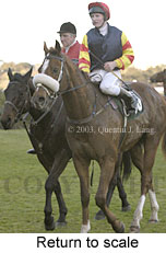 Return to scale (12334 bytes)