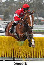 Geeorb (14872 bytes)