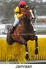 Jamraan (14872 bytes)