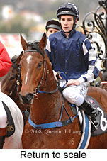 Return to scale (14008 bytes)