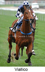 Viallico (14772 bytes)