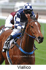 Viallico (14772 bytes)