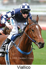 Viallico (14772 bytes)