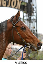 Viallico (14772 bytes)