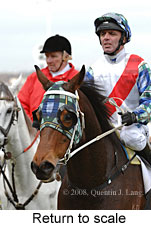 Return to scale (14008 bytes)