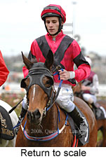 Return to scale (14008 bytes)