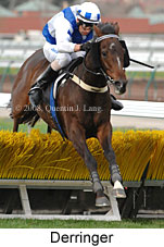 Derringer (18630 bytes)