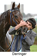 Derringer (14772 bytes)