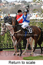 Return to scale (14008 bytes)