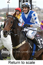 Return to scale (14008 bytes)