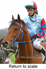 Return to scale (14008 bytes)