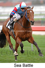 Sea Battle (14772 bytes)