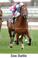 Sea Battle (14772 bytes)