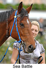 Sea Battle (14772 bytes)