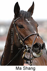 Ma Shang (14772 bytes)