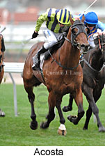 Acosta (14772 bytes)