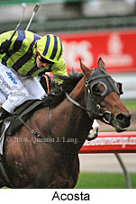 Acosta (14772 bytes)