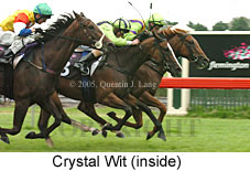 Crystal Wit (14872 bytes)