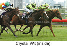 Crystal Wit (14872 bytes)