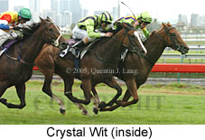 Crystal Wit (14872 bytes)