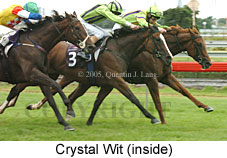 Crystal Wit (14872 bytes)