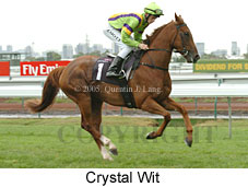 Crystal Wit (14872 bytes)