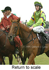 Return to scale (15361 bytes)