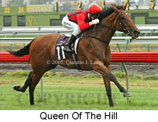 Queen of the Hill (14872 bytes)