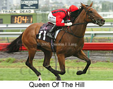 Queen of the Hill (14872 bytes)