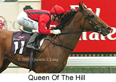 Queen of the Hill (14872 bytes)
