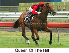 Queen Of The Hill (17076 bytes)