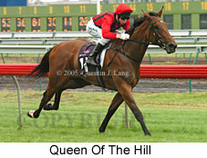 Queen of the Hill (14872 bytes)