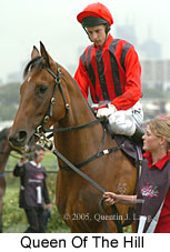 Queen of the Hill (14872 bytes)