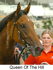 Queen of the Hill (14872 bytes)