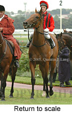 Return to scale (15361 bytes)